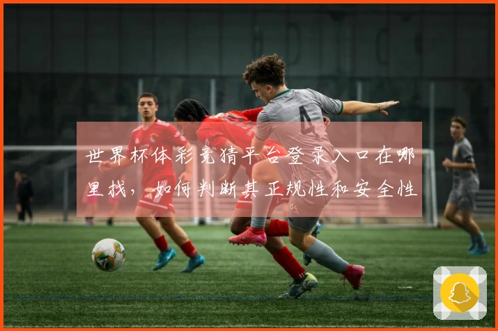 世界杯体彩竞猜平台登录入口在哪里找，如何判断其正规性和安全性？