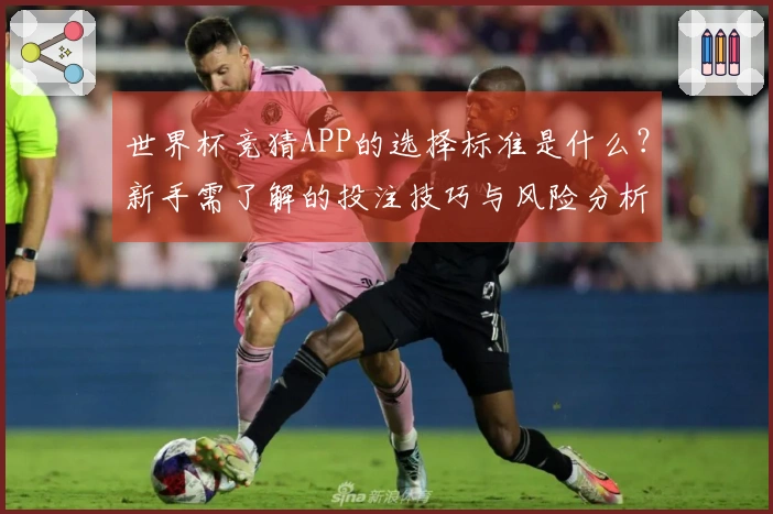世界杯竞猜APP的选择标准是什么？新手需了解的投注技巧与风险分析