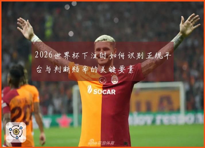2026世界杯下注时如何识别正规平台与判断赔率的关键要素