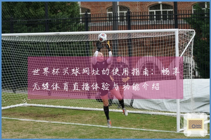 世界杯买球网址的使用指南：畅享无缝体育直播体验与功能介绍
