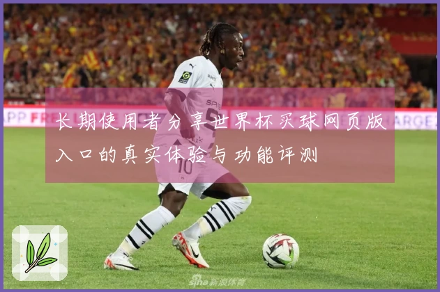 长期使用者分享世界杯买球网页版入口的真实体验与功能评测