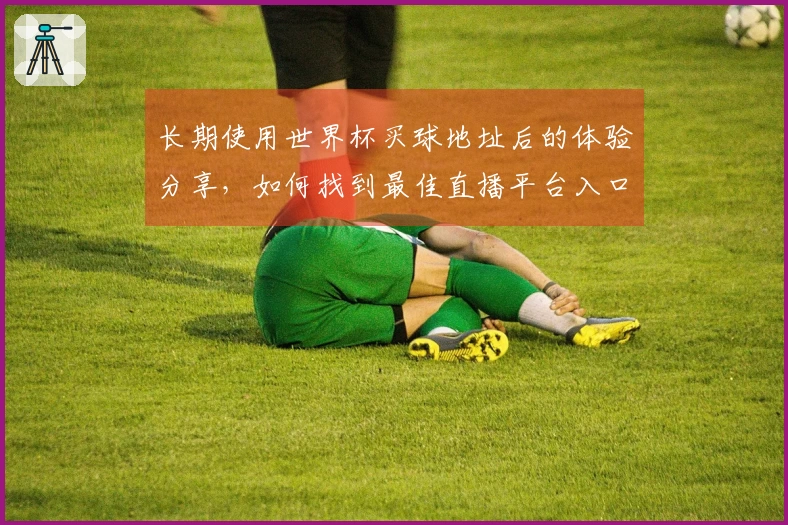 长期使用世界杯买球地址后的体验分享，如何找到最佳直播平台入口