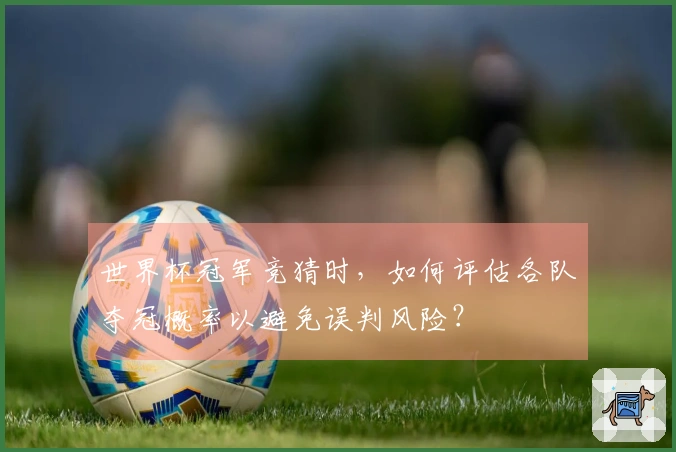 世界杯冠军竞猜时，如何评估各队夺冠概率以避免误判风险？