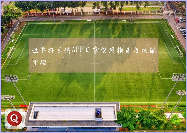 世界杯竞猜APP日常使用指南与功能介绍