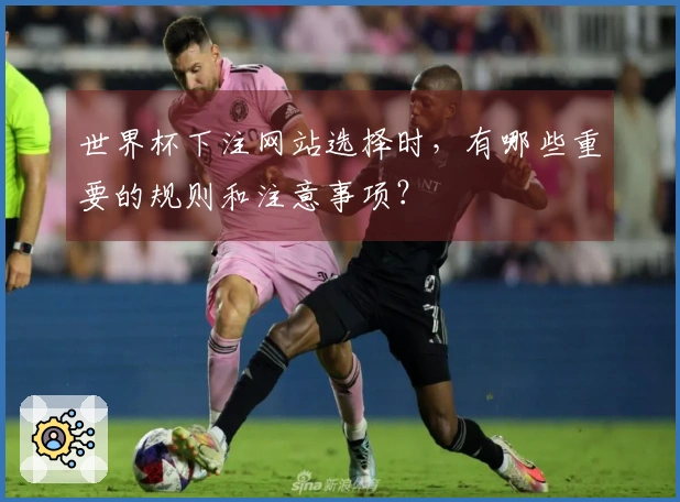 世界杯下注网站选择时，有哪些重要的规则和注意事项？