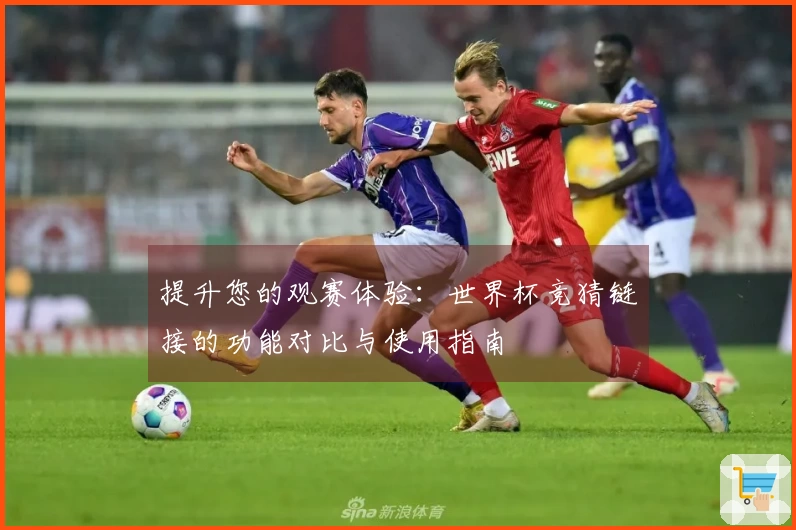 提升您的观赛体验：世界杯竞猜链接的功能对比与使用指南
