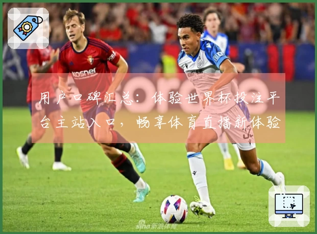 用户口碑汇总：体验世界杯投注平台主站入口，畅享体育直播新体验