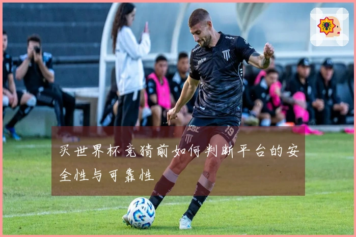 买世界杯竞猜前如何判断平台的安全性与可靠性