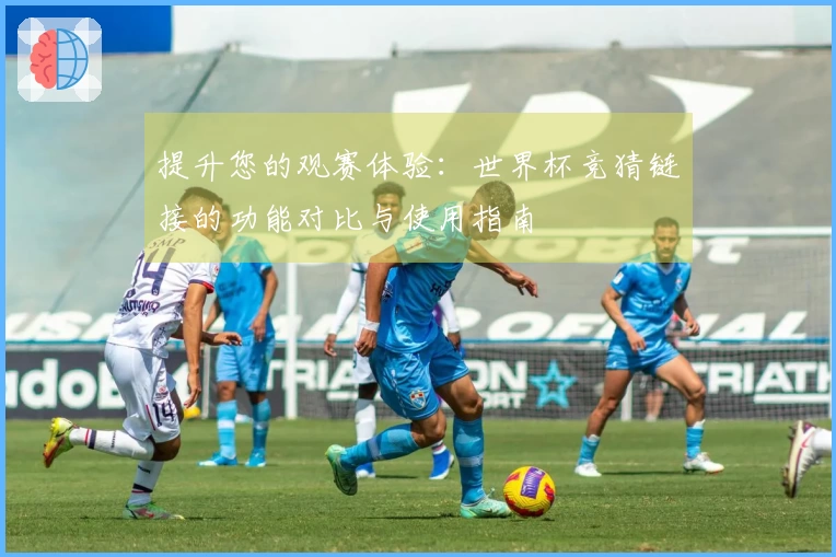 提升您的观赛体验：世界杯竞猜链接的功能对比与使用指南