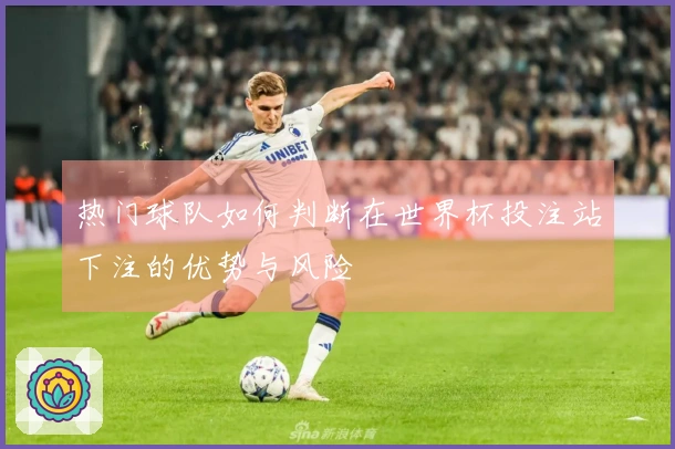 热门球队如何判断在世界杯投注站下注的优势与风险