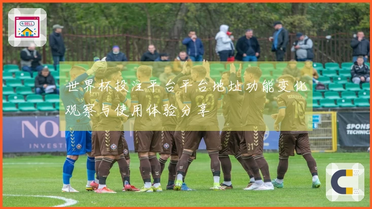 世界杯投注平台平台地址功能变化观察与使用体验分享