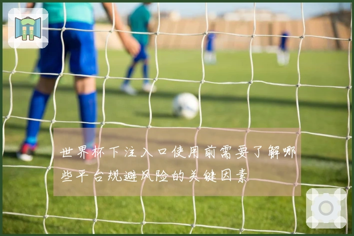 世界杯下注入口使用前需要了解哪些平台规避风险的关键因素