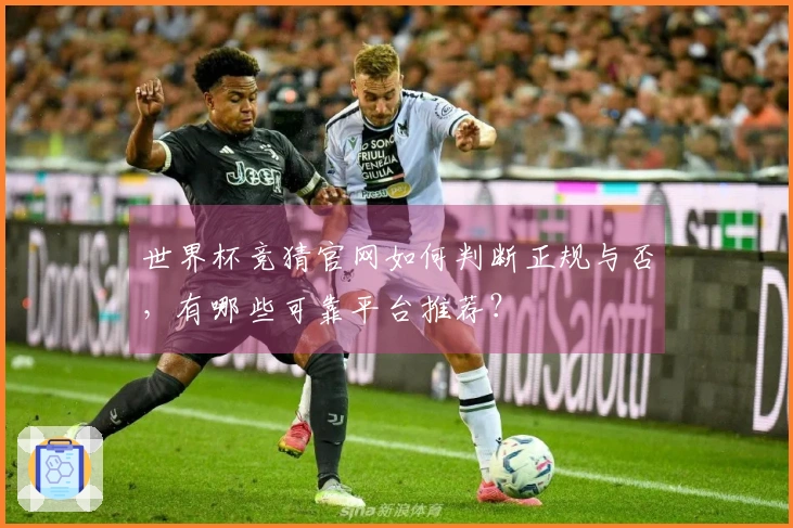 世界杯竞猜官网如何判断正规与否，有哪些可靠平台推荐？