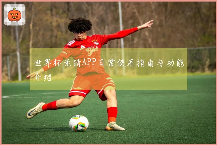 世界杯竞猜APP日常使用指南与功能介绍