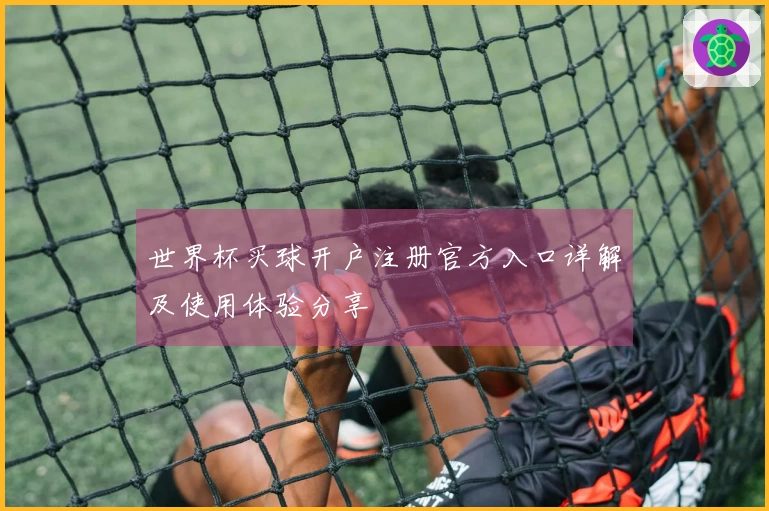 世界杯买球开户注册官方入口详解及使用体验分享