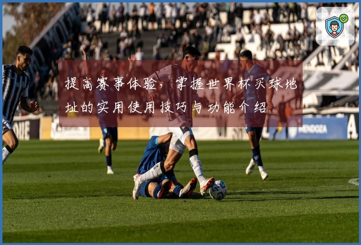 提高赛事体验，掌握世界杯买球地址的实用使用技巧与功能介绍