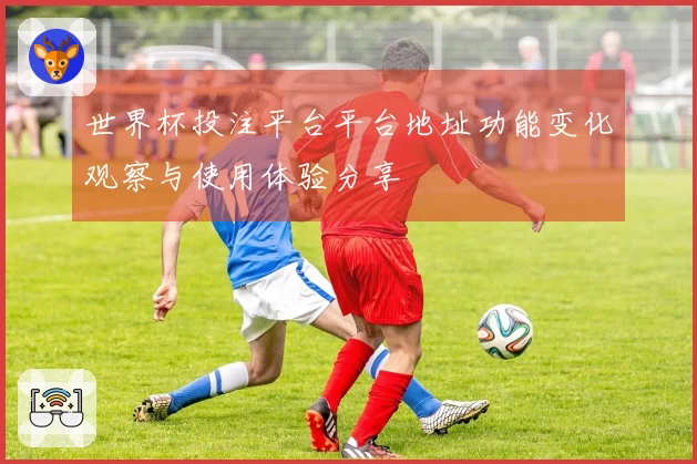 世界杯投注平台平台地址功能变化观察与使用体验分享