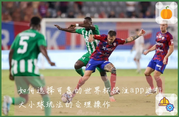 如何选择可靠的世界杯投注app进行大小球玩法的合理操作