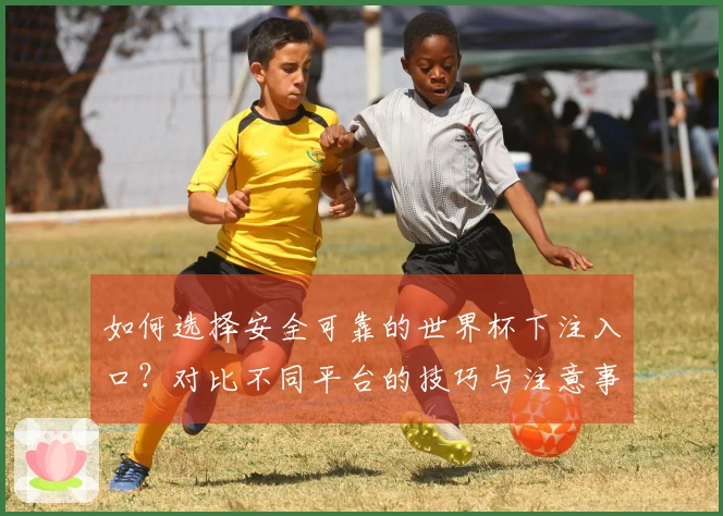 如何选择安全可靠的世界杯下注入口？对比不同平台的技巧与注意事项