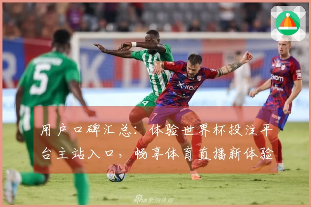 用户口碑汇总：体验世界杯投注平台主站入口，畅享体育直播新体验