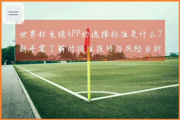 世界杯竞猜APP的选择标准是什么？新手需了解的投注技巧与风险分析