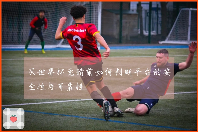 买世界杯竞猜前如何判断平台的安全性与可靠性