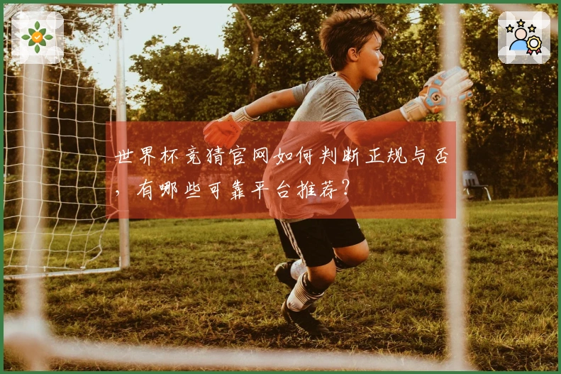 世界杯竞猜官网如何判断正规与否，有哪些可靠平台推荐？