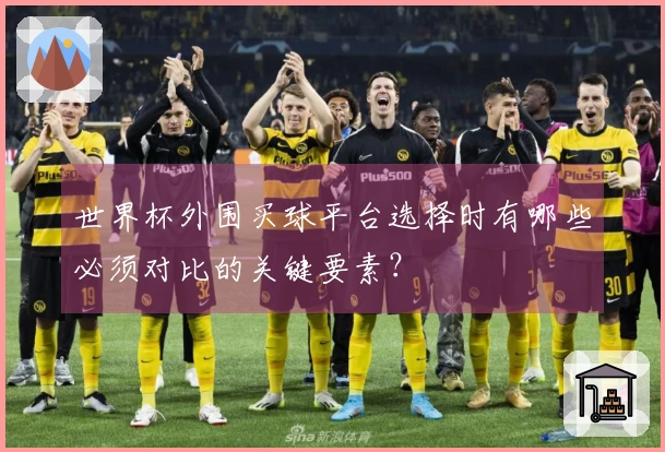 世界杯外围买球平台选择时有哪些必须对比的关键要素？