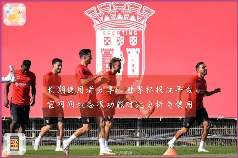 长期使用者分享：世界杯投注平台官网网址各项功能对比分析与使用体验总结